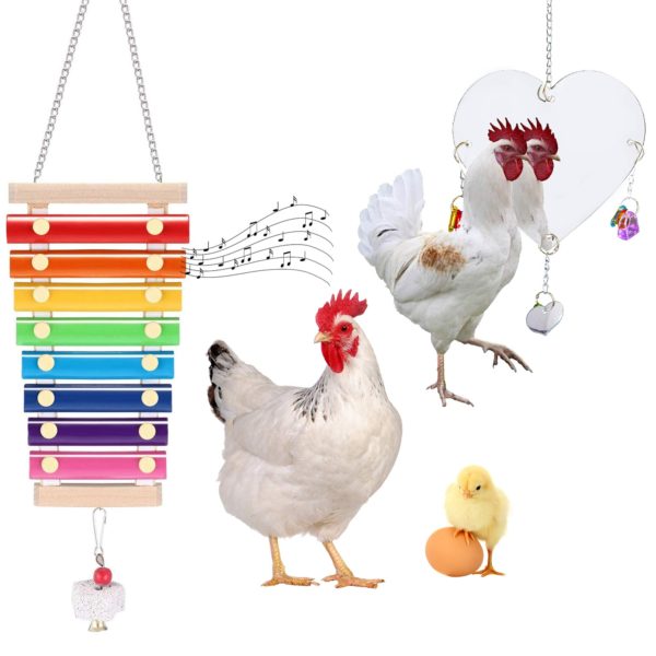 Chicken Mirror Toys and Chicken Xylophone Toy