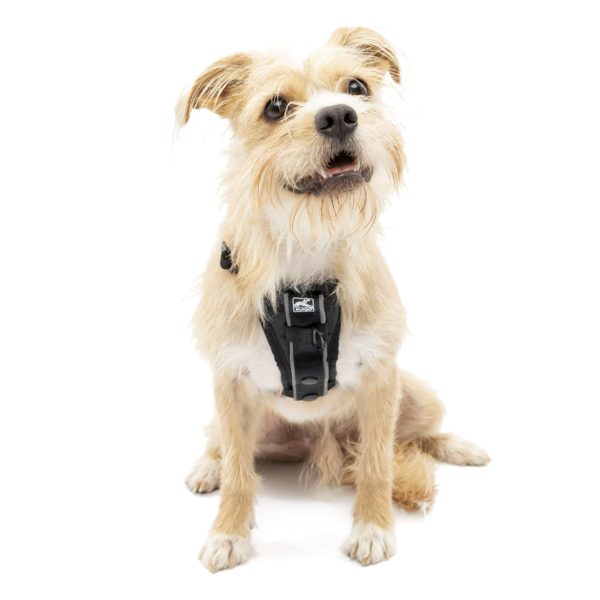 Kurgo Dog Harness, Pet Walking Harness