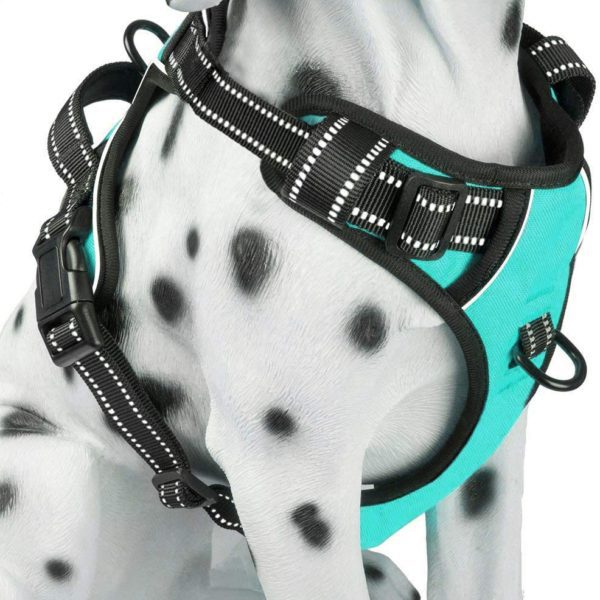 Reflective Comfortable Vest Harness with Front & Back