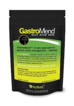 GastroMend--Ulcer Supplement for Horses