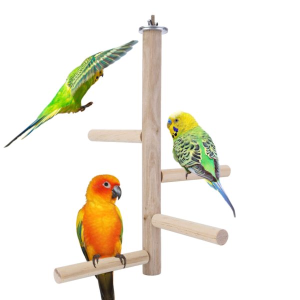Mogoko Parakeet Perch Bird Natural Wood Stand