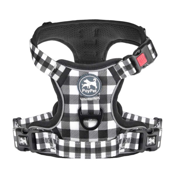 No Pull Dog Harness with Front & Back 2 Leash Attachments
