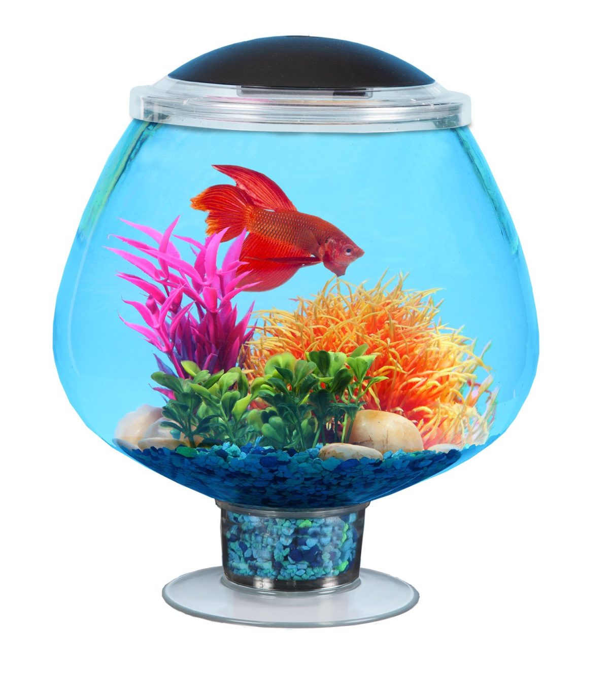 Koller Products 1.7-Gallon BettaTank