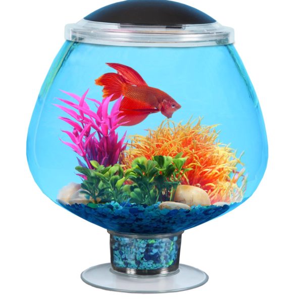 Koller Products 1.7-Gallon BettaTank