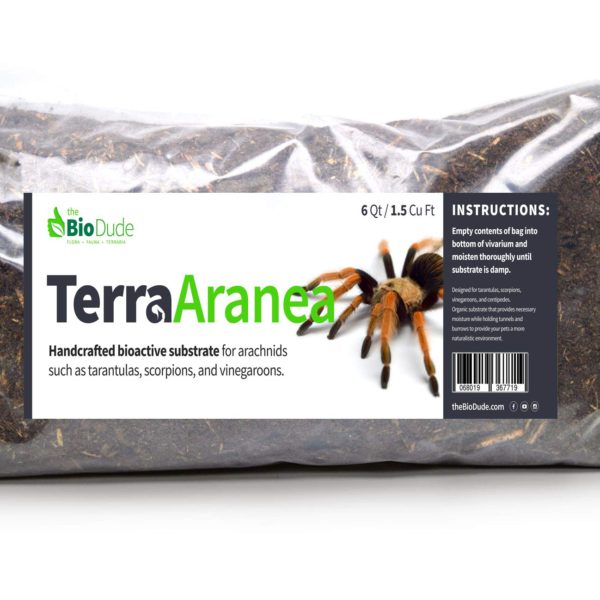 The Bio Dude Terra Aranea 6 quarts Bioactive Substrate for Tarantulas