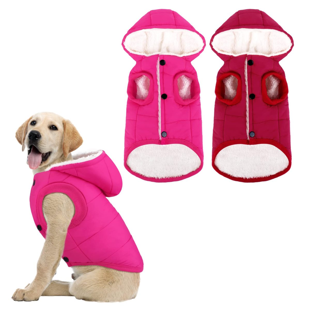 Pedgot 2 Pieces Fleece Lined Warm Dog Jacket