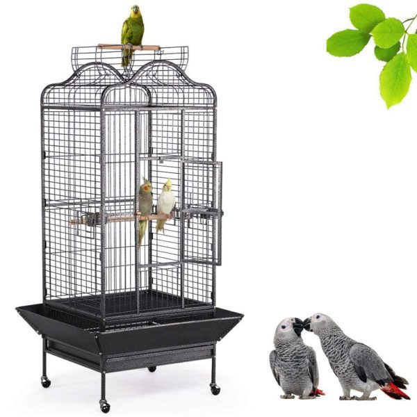 Conures Caique Doves Open Playtop Parrots Bird Cage