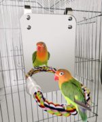 Bird Mirror with Rope Perch Cockatiel Mirror for Cage