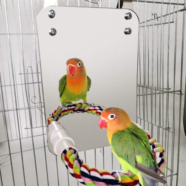 Bird Mirror with Rope Perch Cockatiel Mirror for Cage