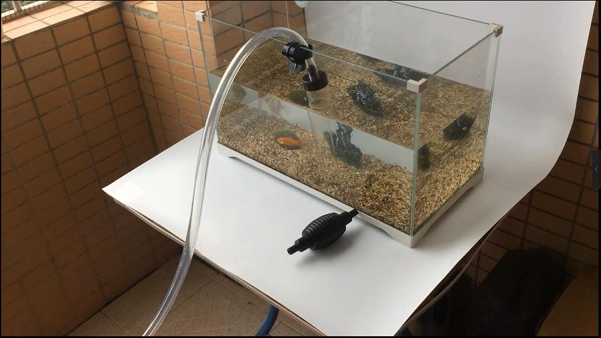 Vacuum Cleaner for Fish Tank Cleaning Gravel & Sand Sinkable, with a removable filter display screen inside. Will not disturb fish or decor when it is working. All you could do is to pinch it a number of instances, water will move out routinely. Without hanging a blowing.