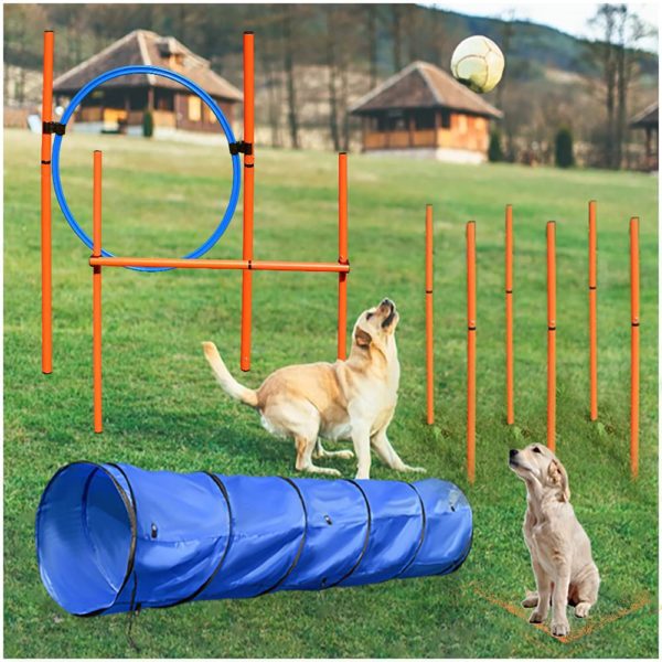 Training Course Kit Agility Agility Training Equipment for Dogs