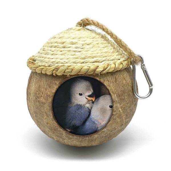 MISS FIRE Bird House with Coconut Woven Straw