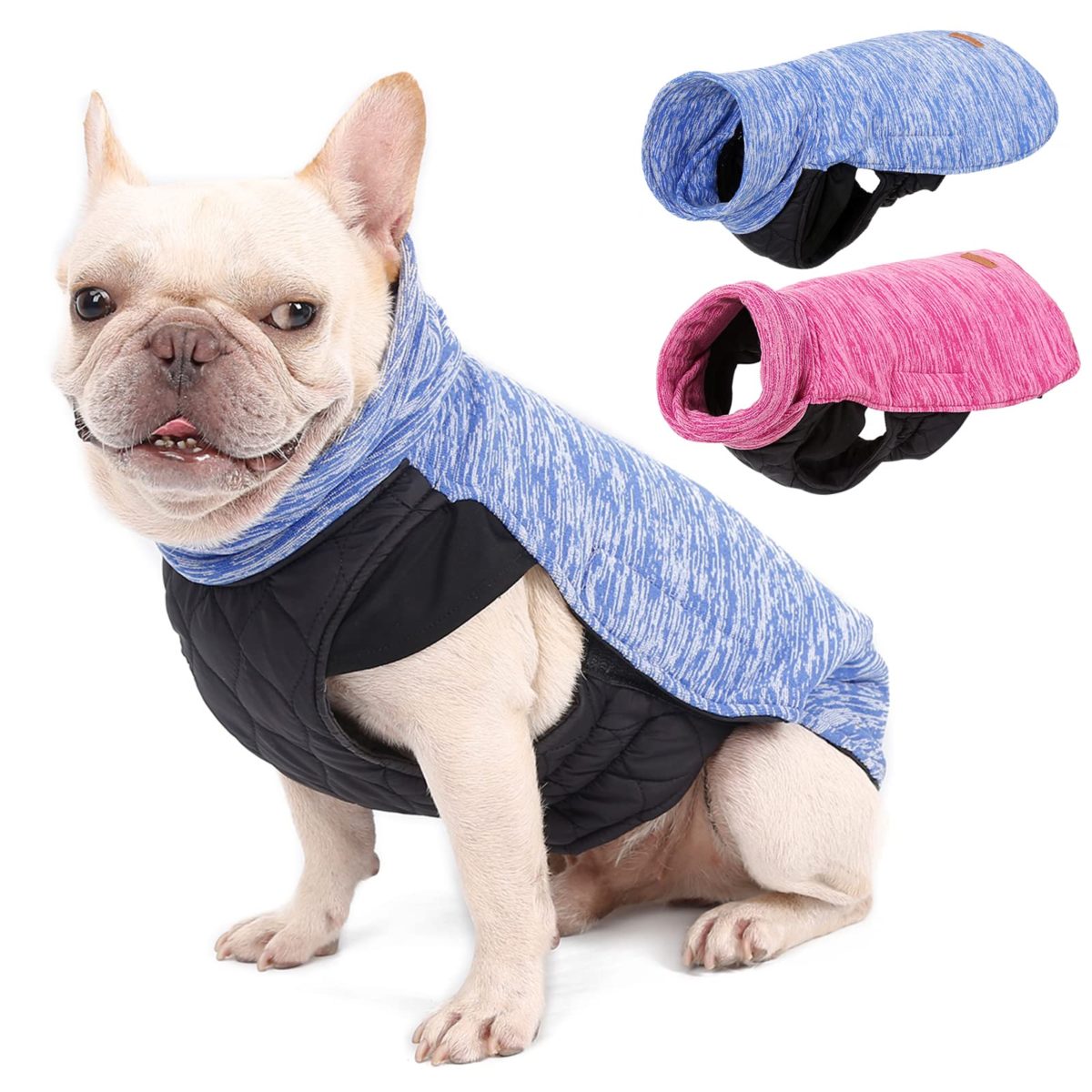 Medium & Large Dog Winter Jacket