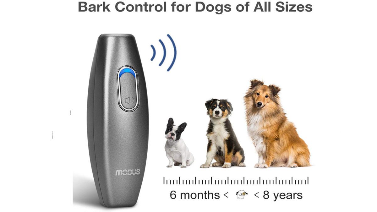 2-in-1 Dog Training Tool Anti Barking Device This ultrasonic bark deterrent has 16.4ft efficient management vary, which is longer than the conventional vary 6ft. And its transportable design makes it appropriate for use indoor or out of doors. dog coaching system matches completely in your hand. It comes with an adjustable anti-static wrist strap and consists of 4 replaceable AAA batteries. No expertise required, merely press and maintain the button, the bark deterrent will emit an ultrasonic sound to draw the dog’s consideration. The LED mild on high of the button can point out working standing and low energy mode.