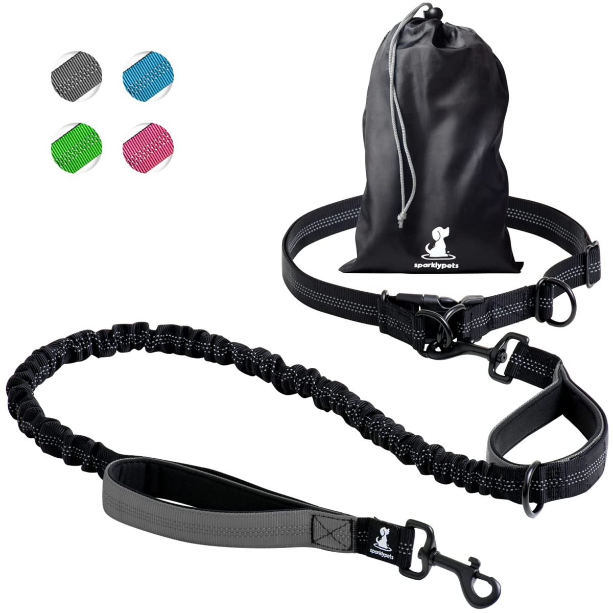 Training Medium and Large Dogs Dog Leash