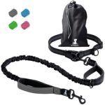 Training Medium and Large Dogs Dog Leash