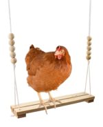 Chicken Swing Toy for Coop Natural Safe Wooden