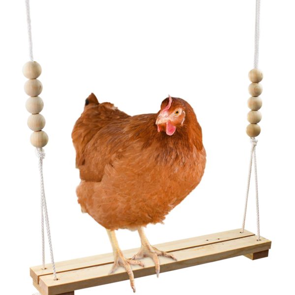Chicken Swing Toy for Coop Natural Safe Wooden