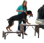 Pet Gear Free Standing Ramp for Cats and Dogs.