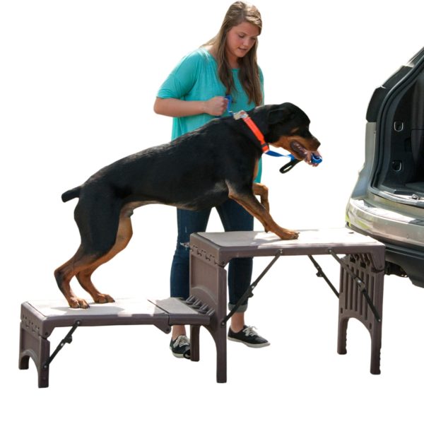 Pet Gear Free Standing Ramp for Cats and Dogs.