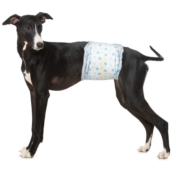Disposable Male Dog Diapers Wraps