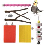 Natural Wood Parrot Stand Platform Paw Grinding Stick