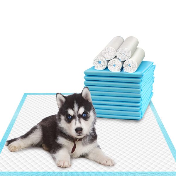 Super Absorbent Dog Potty Pads for Dogs