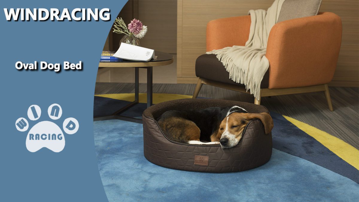 Luxury Dog Bed for Small Medium Dog Features: The oval nest pet beds raised wall adopts distinctive design, with the fake leather-based sewed edge will repair the stuffing cotton. It can defend your pet's neck, relieve the fatigue, and offers your pet good assist; Diamond sew designed oxford are sturdy, chew safety. Memory foam detachable, Durable zipper design.Anti-skid design on the backside.