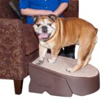 Pet Gear Stramp Stair and Ramp Combination