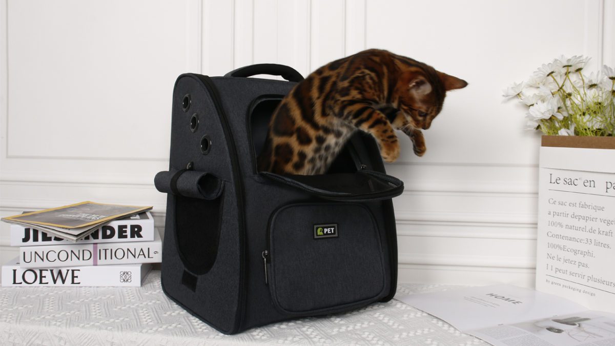 Pet Backpack for Small Dogs and Cats Pet service backpack designed for the utmost comfort and consolation for you and your pet whereas mountaineering, touring, or taking your finest buddy to the vet, or going for a stroll within the park. Measures roughly 13.39" x 11" x 16.93" (L x W x H). Cat service backpack for cats and small dogs up to 18-pounds.