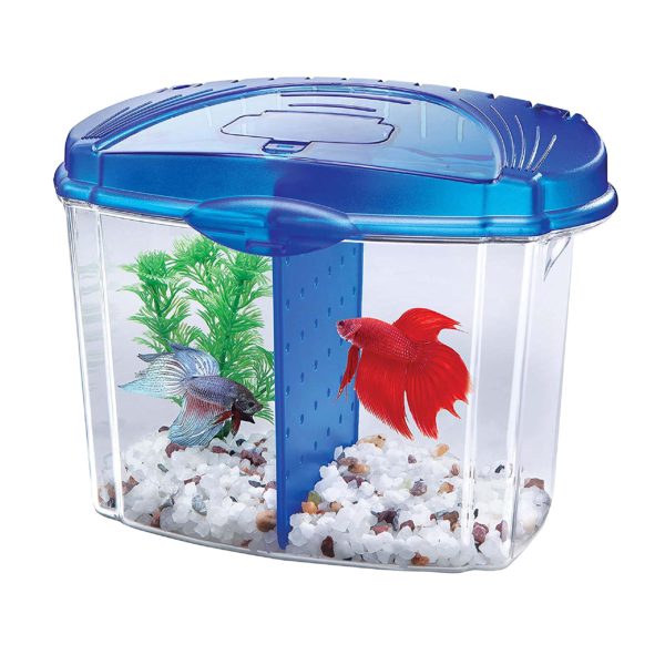 Aqueon Betta Fish Tank Starter Kit