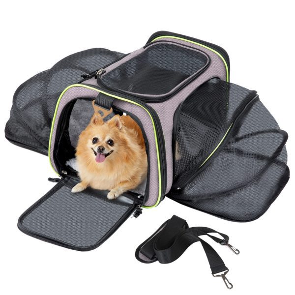 Q-Hillstar Pet Carrier Airline Approved