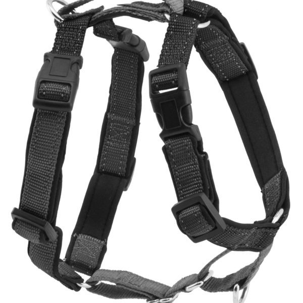 Extra Small 3 in 1 Harness and Car Restraint