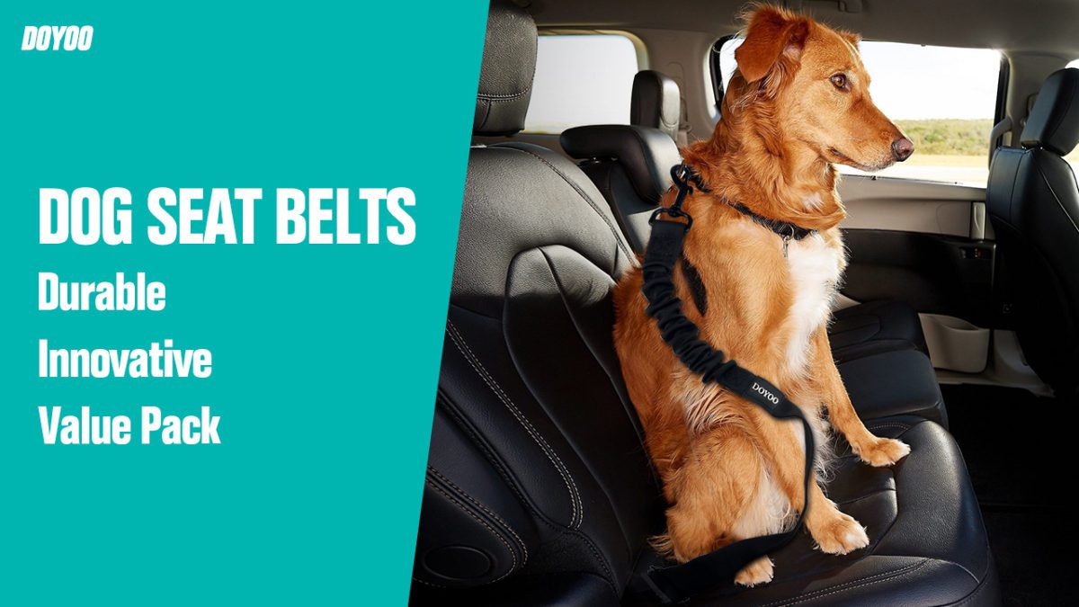 New 2-in-1 Multi-Functional Dog Car Seatbelts ADJUSTABLE & ELASTIC – Made out of heavy obligation nylon, the dog seat belt might be adjusted from 24.5 inch to 27.5/30.7 inch（MAX）,and the 360 diploma rotatable clasp permits your dog lively freely with out strangling or tangle. Restraints with extremely elastic bungee cushioning works as a shock absorber which can stop choking dangers due sudden braking or sharp turns.