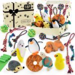 Squeaky Dog Toys for Small Dogs