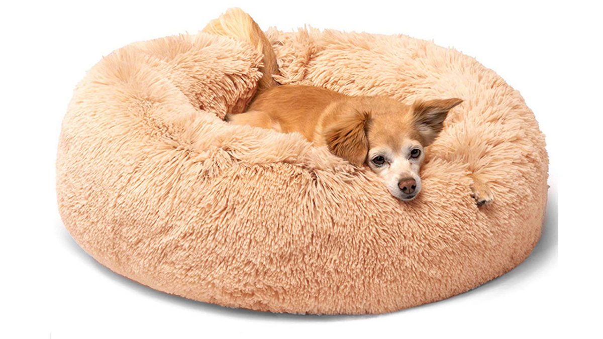 Calming Dog Bed Cat Bed Soft Shag Fur Pet Bed Round dog mattress with donut form design satisfies the nesting intuition of dogs who love to twist up right into a ball, whereas the lengthy fake fur surrounds them to create a heat and comforting setting. The bolstered edges are a supportive but gentle spot on your pal to relaxation their furry head. Available in stunning pure colours, our fur dog beds are a seamless addition to any room’s décor! Finished with water and dirt-resistant bottoms will assist forestall unintentional messes from reaching your flooring. The base comes with non-skid silicone dotting to maintain security on clean non-carpeted flooring.