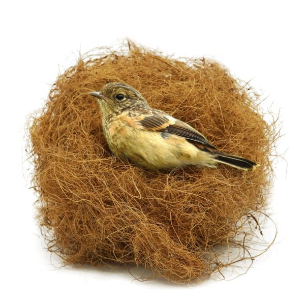 Coconut Fiber Bird Hut Natural Fibers for Birds