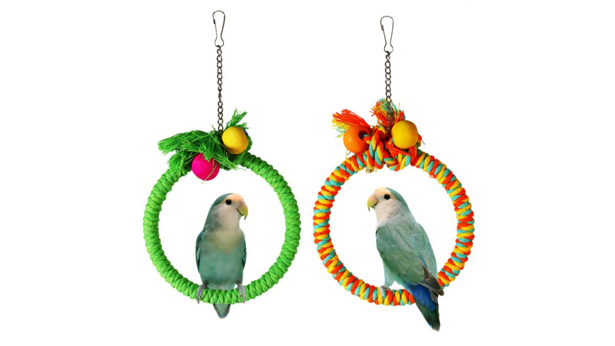 Bird Rope Swing Perch Climbing Standing Hanging for Bird Cage ▲QUALITY: The auxiliary wire had been wrapped with strong cotton rope retains the entire chicken rope swing sturdy and sturdy.