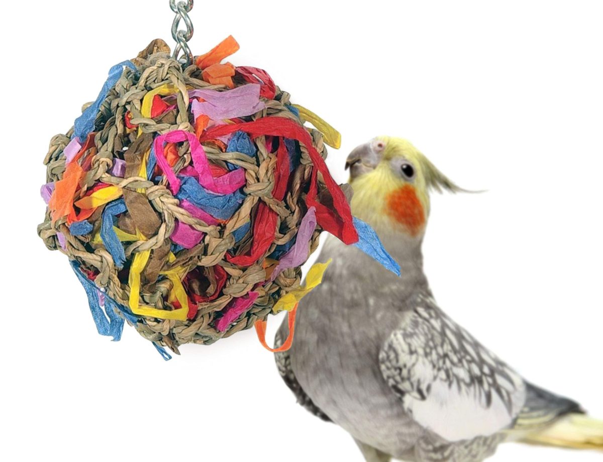 Sweet Feet and Beak Super Shredder Ball ENCOURAGES PLAY & EXERCISE - Your feathered good friend wants one thing cozy to do on high of sitting on their fowl perch. This hanging shredder ball fowl toy promotes your fowl’s bodily and emotional well being as properly supplying you with peace of thoughts