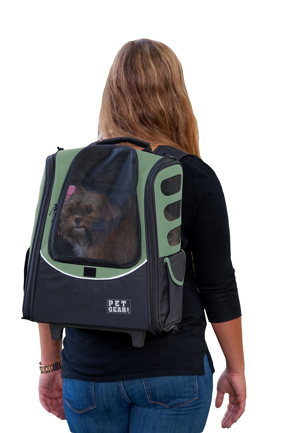 Travel Carrier, Car Seat for Cats/Dogs