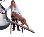 Pet Gear Free Standing Ramp for Cats and Dogs.