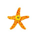 Medium Starfish Floating Dog Toy