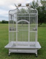 New Large Wrought Iron Open Play Top Parrot Bird Cage