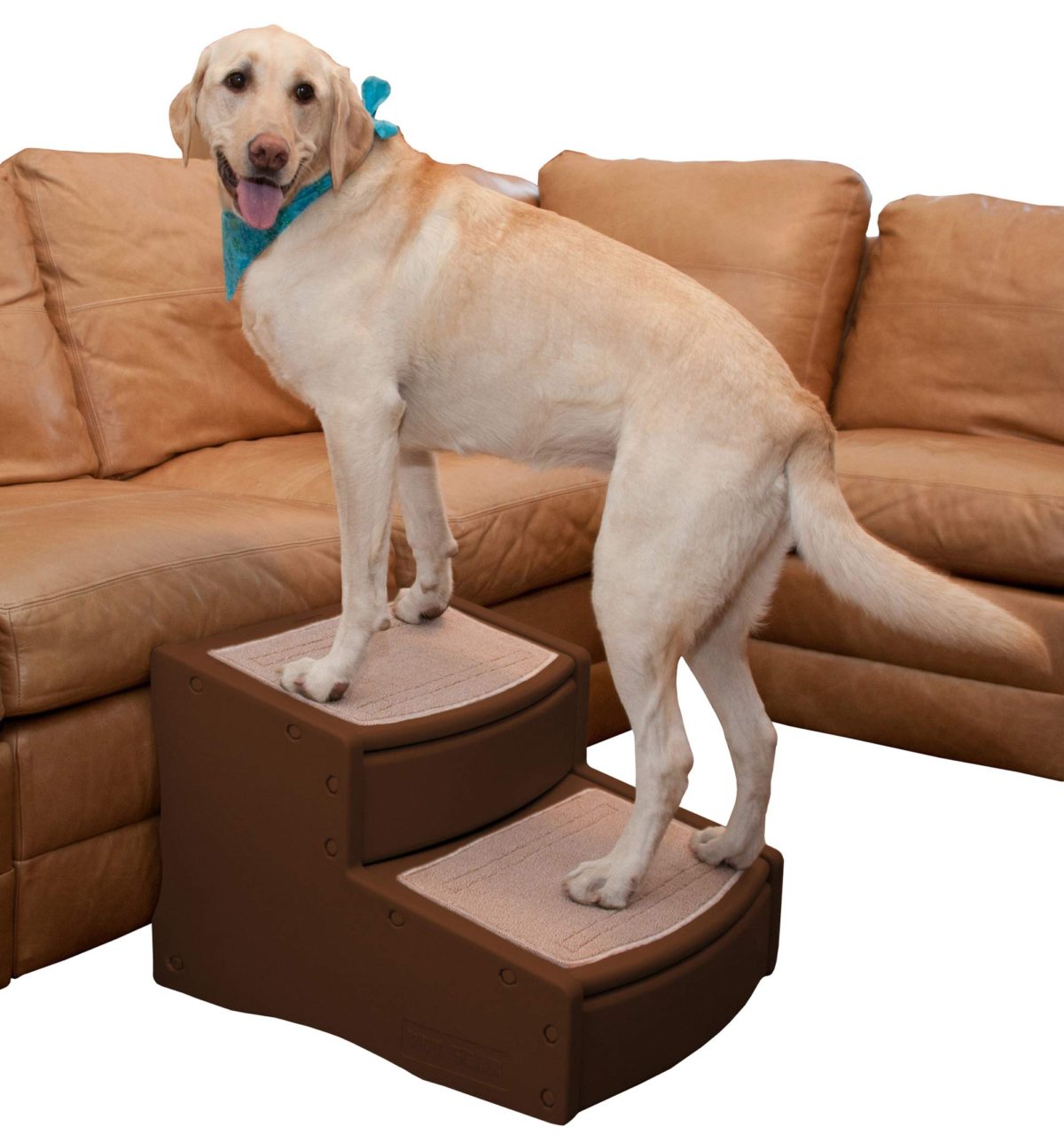 Pet Gear Easy Step II Extra Wide Pet Stairs