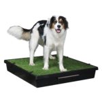 PetSafe Pet Loo Portable Dog Potty