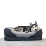 BarksBar Large Gray Orthopedic Dog Bed