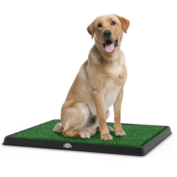 Artificial Grass Puppy Pad for Dogs and Small Pets