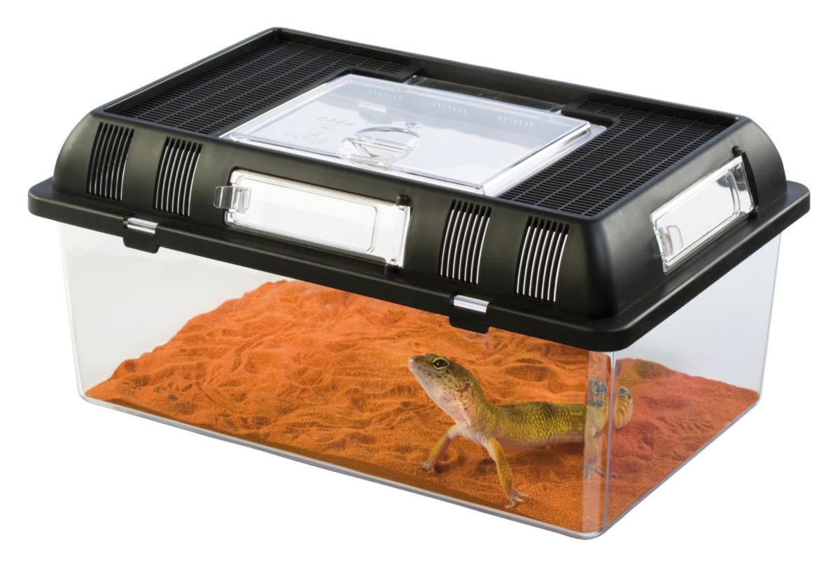 Exo Terra Breeding Box, Plastic Reptile Terrarium