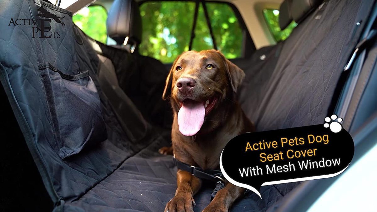 Active Pets Dog Seat Cover with Mesh Window IT WILL FIT - Energetic Pets dog hammock for automotive seats is particularly designed to suit any automotive or SUV’s again seats, in contrast to different dog covers for again seat of automotive. With a quick and simple set up, you’ll be able to go along with your seat cowl for dogs in underneath 60 seconds! Simply converts from dog automotive hammock to bench cowl, and this dog backseat cowl serves as cargo cowl as effectively. It is a dog seat cowl for again seat furries that gives you peace of thoughts at each flip. Most open dimension (54"x58”)