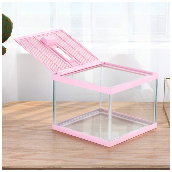 Reptile Tank Color Pink Spider Terrarium Container